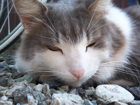 f:id:nagino:20110929121143j:image f:id:nagino:20110929121143j:image