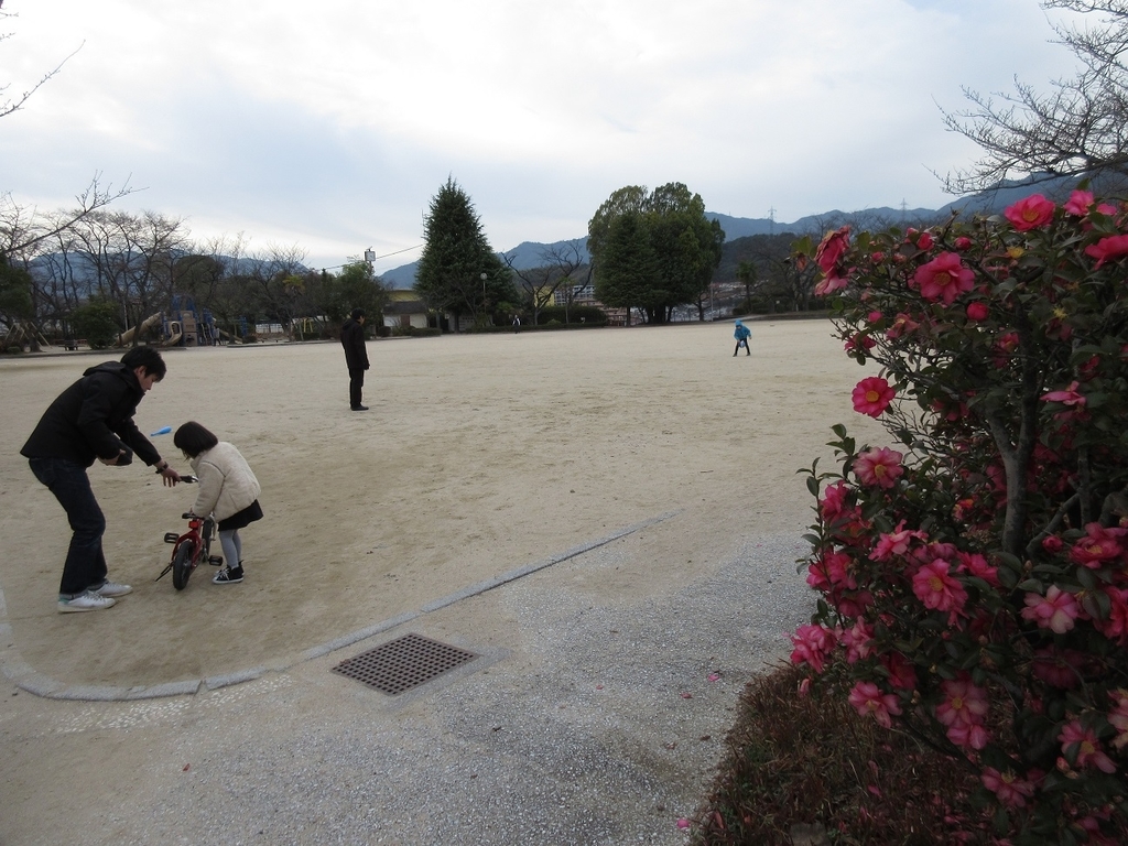 f:id:nagisa777aoi:20190113102615j:plain