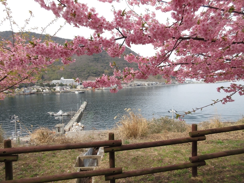 f:id:nagisa777aoi:20190225110142j:plain