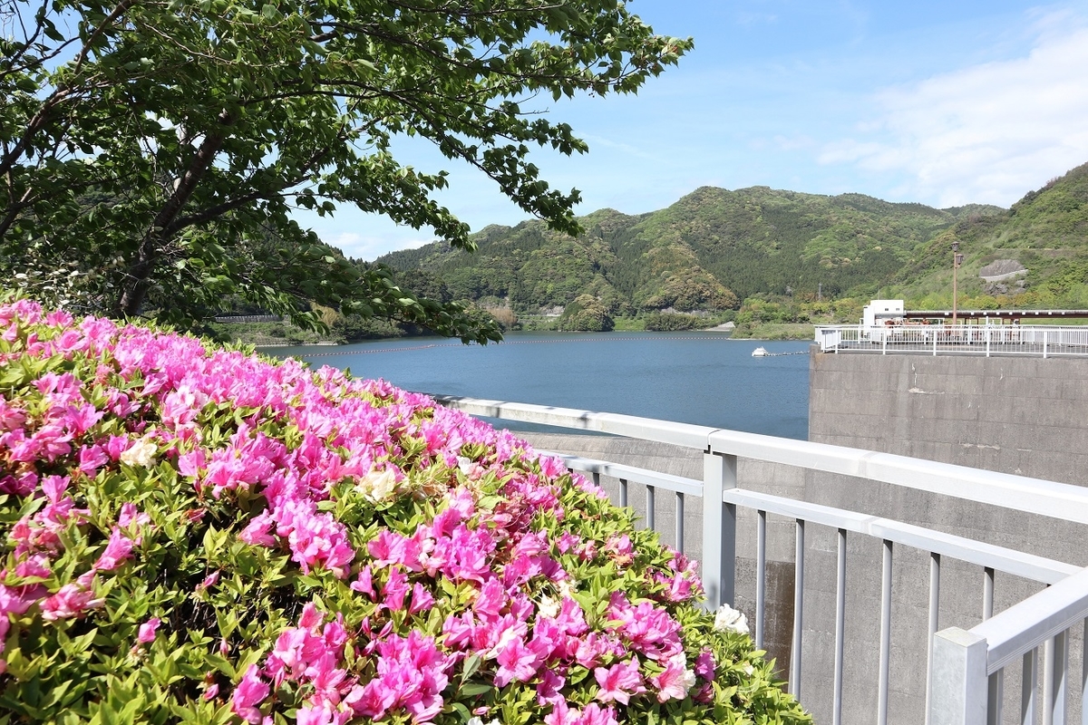 f:id:nagisa777aoi:20200607054612j:plain f:id:nagisa777aoi:20200607054612j:plain