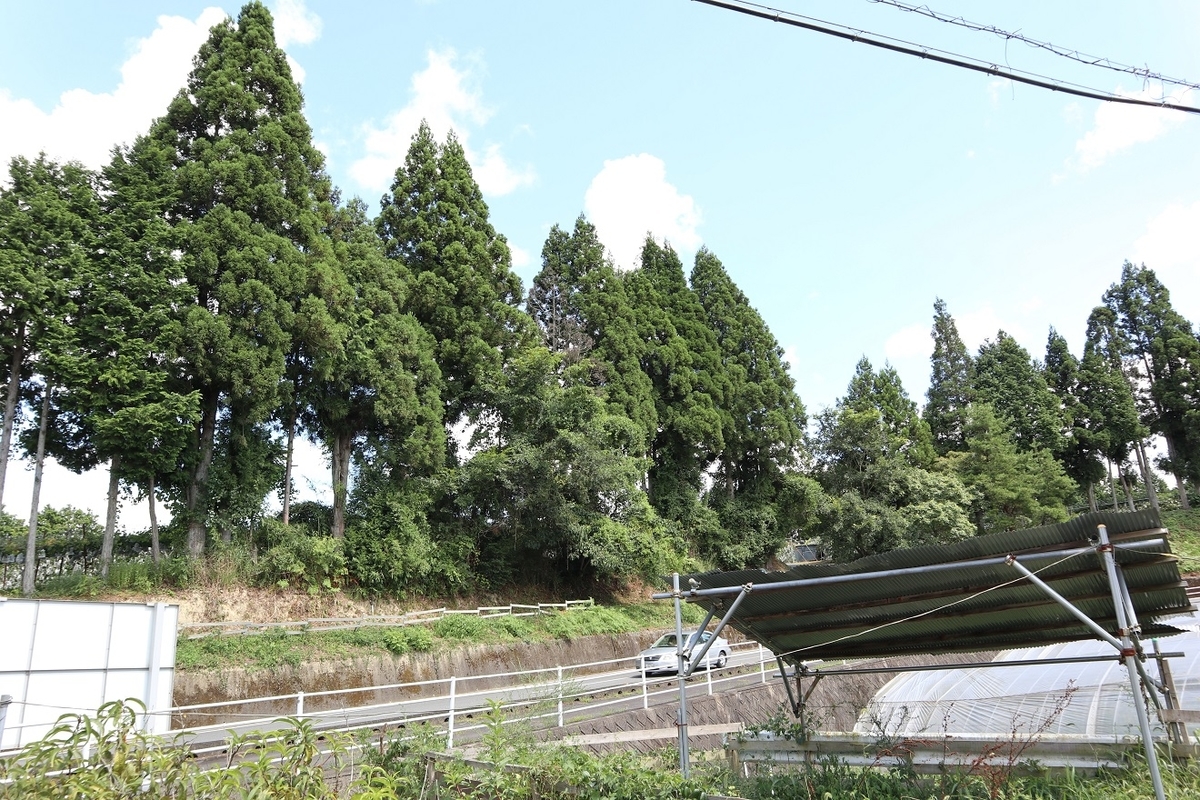 f:id:nagisa777aoi:20200905145538j:plain f:id:nagisa777aoi:20200905145538j:plain