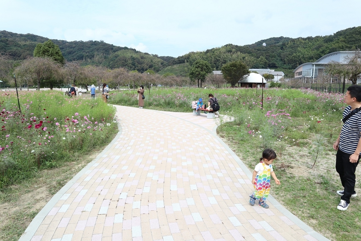 f:id:nagisa777aoi:20201011142357j:plain f:id:nagisa777aoi:20201011142357j:plain