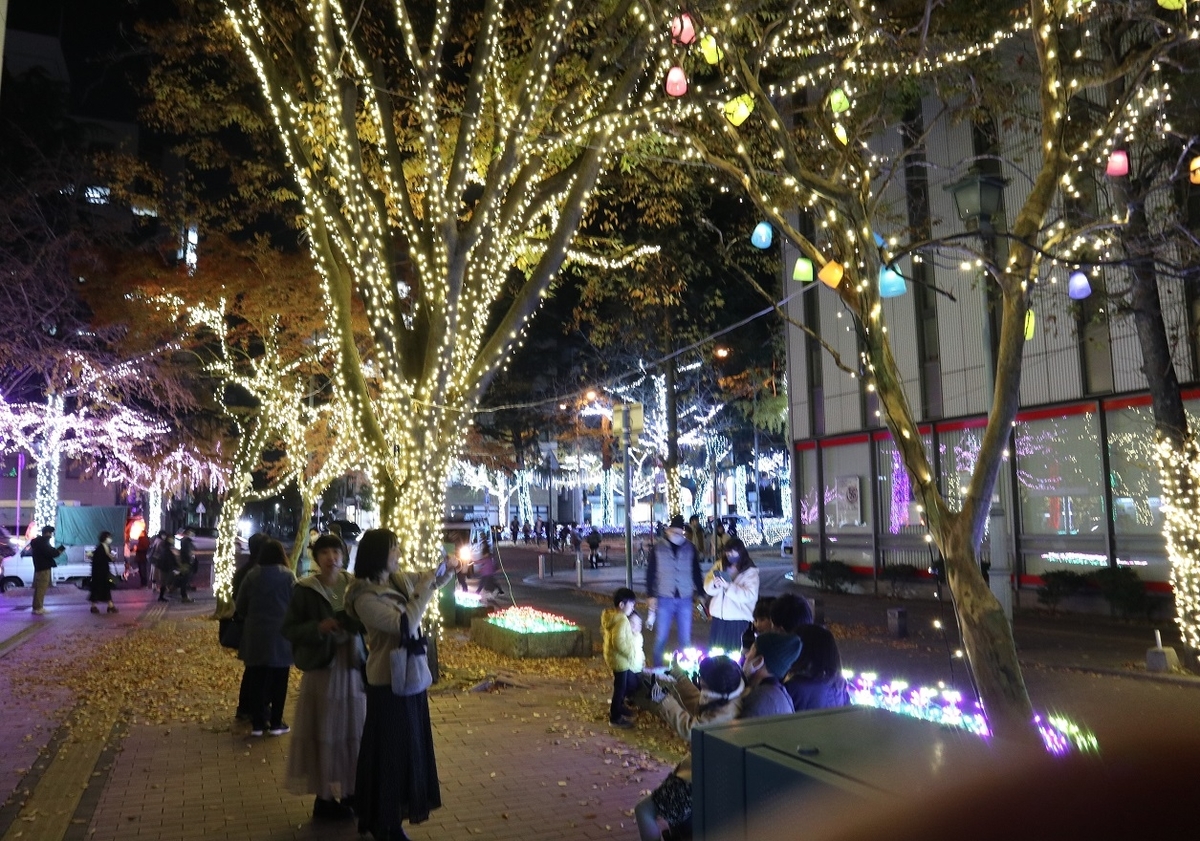 f:id:nagisa777aoi:20201214190803j:plain