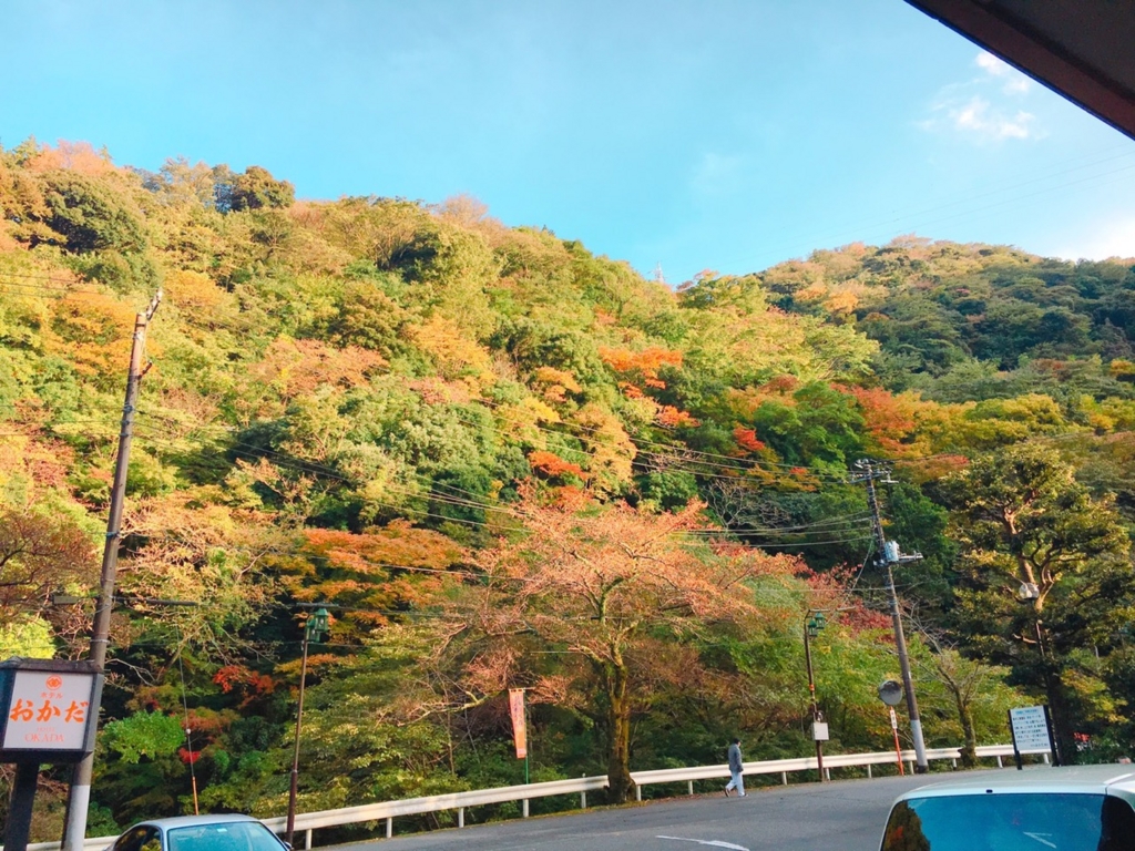 f:id:nagisainoue:20161115005634j:plain f:id:nagisainoue:20161115005634j:plain