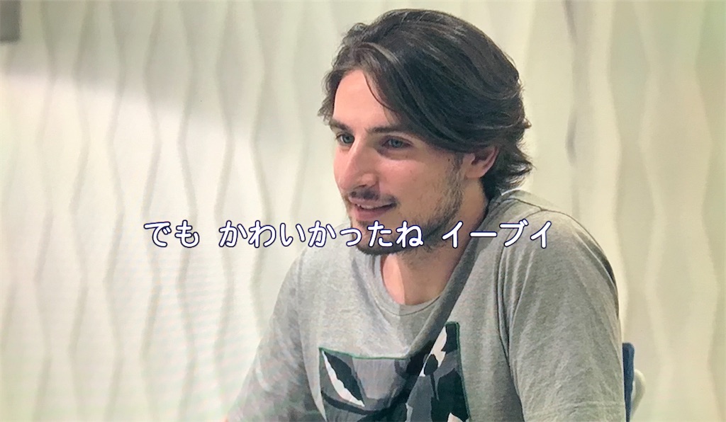 f:id:nagisaseer:20200329202737j:image