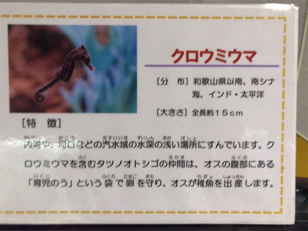 f:id:nagisaseer:20210901210117j:image