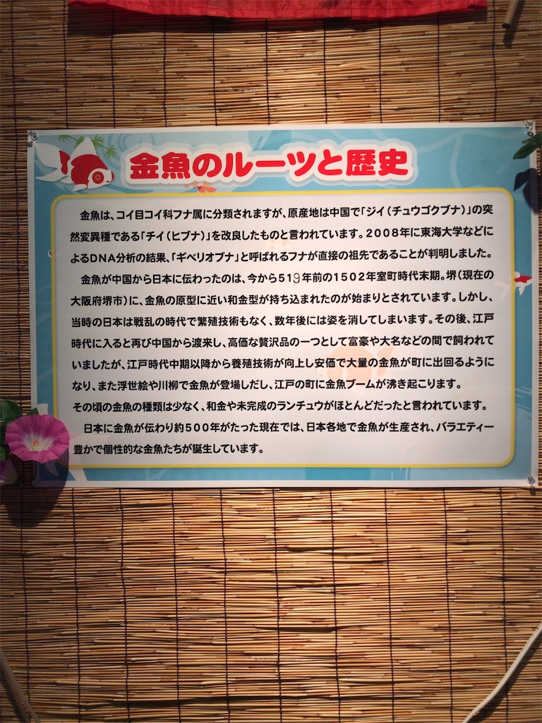 f:id:nagisaseer:20210901210142j:image