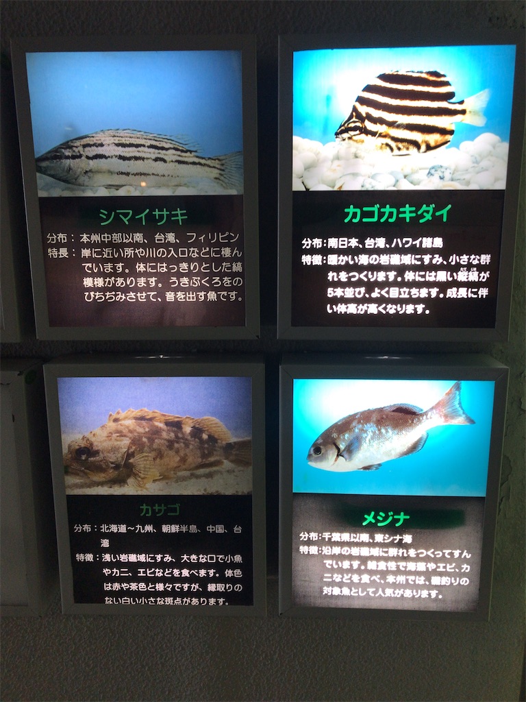f:id:nagisaseer:20210901210146j:image