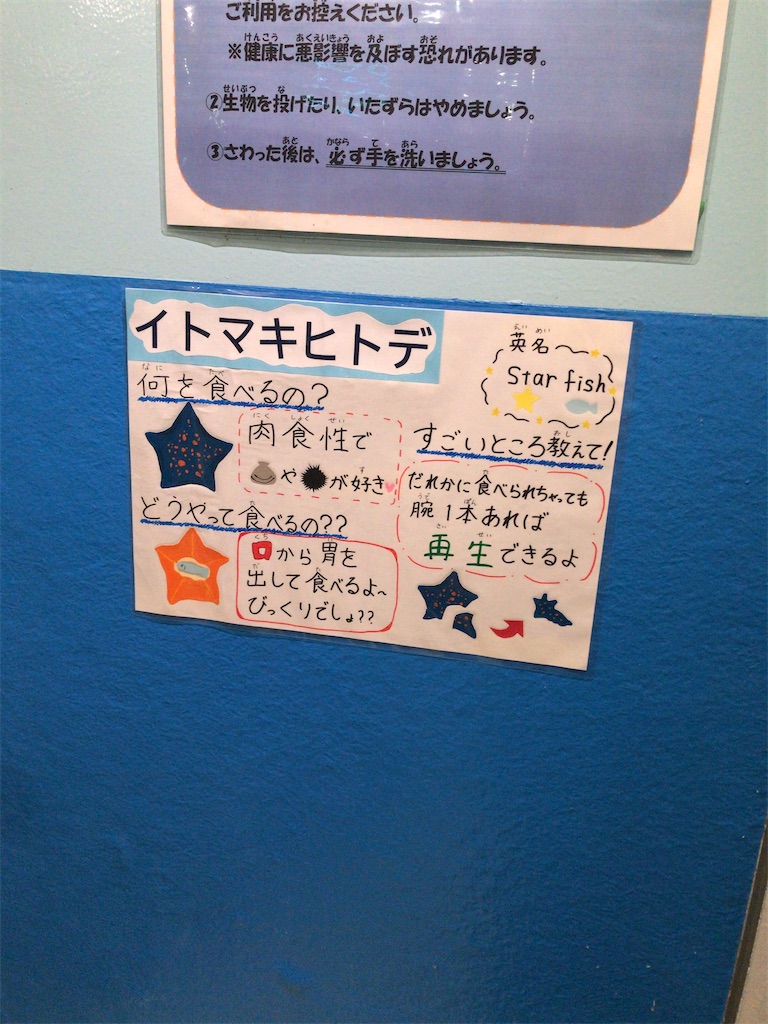 f:id:nagisaseer:20210901210222j:image