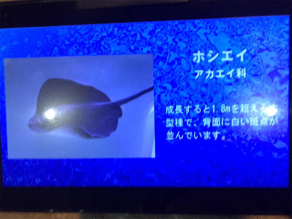 f:id:nagisaseer:20210901210240j:image