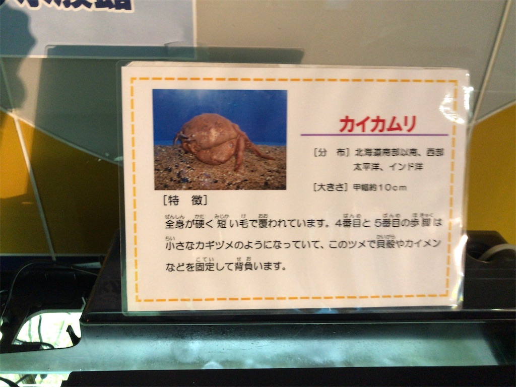 f:id:nagisaseer:20210901210247j:image