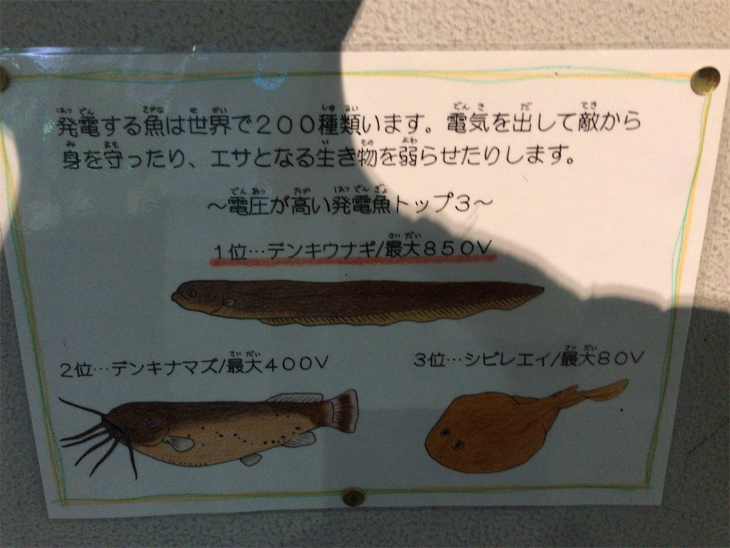 f:id:nagisaseer:20210901210340j:image