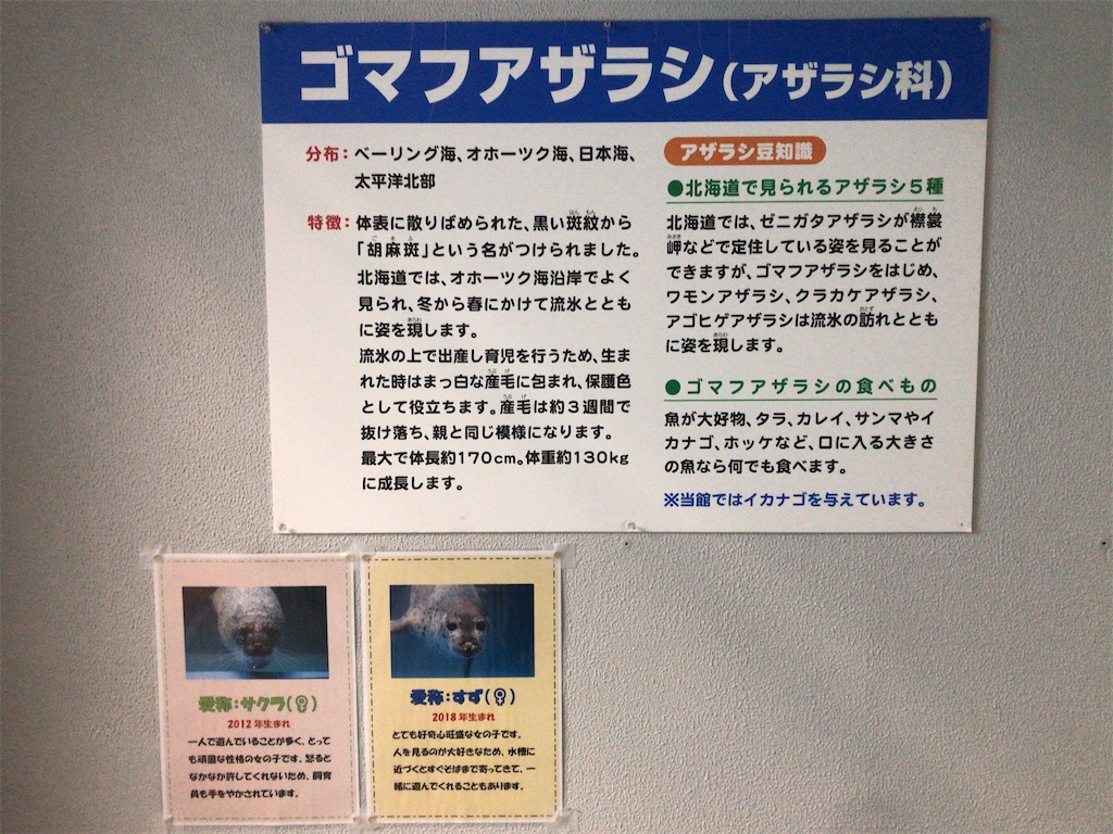 f:id:nagisaseer:20210901210344j:image