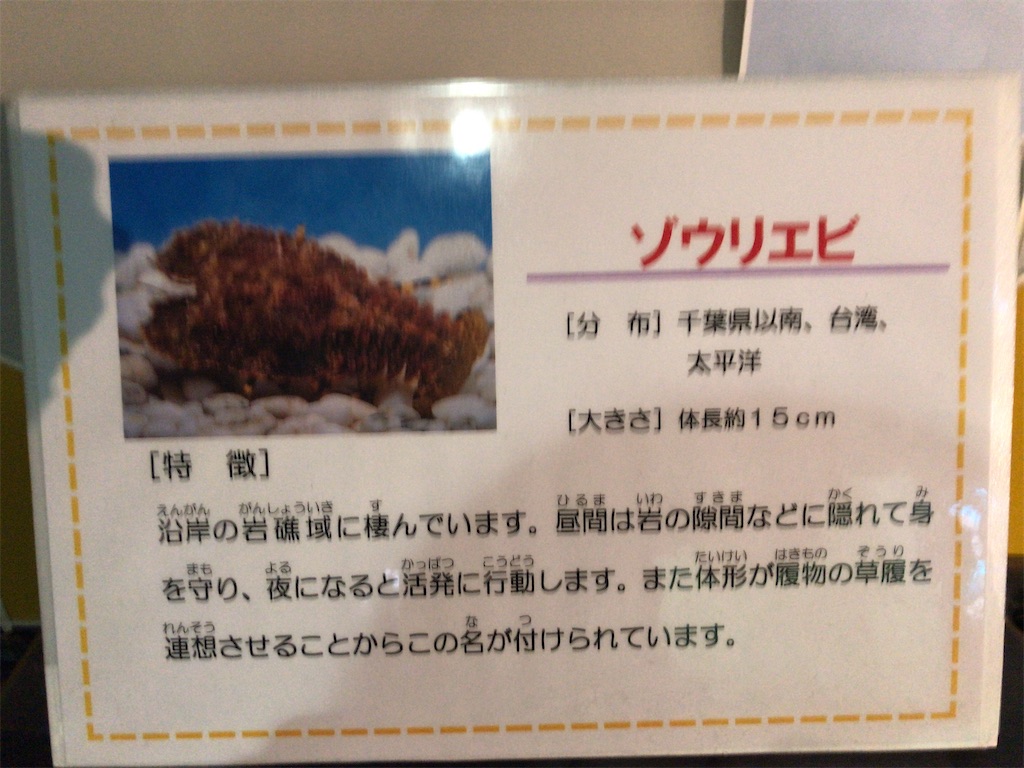 f:id:nagisaseer:20210901210424j:image