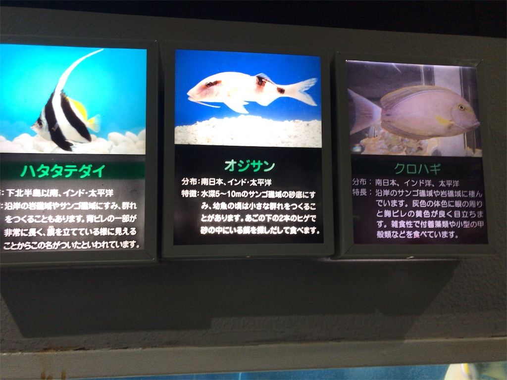 f:id:nagisaseer:20210901210530j:image