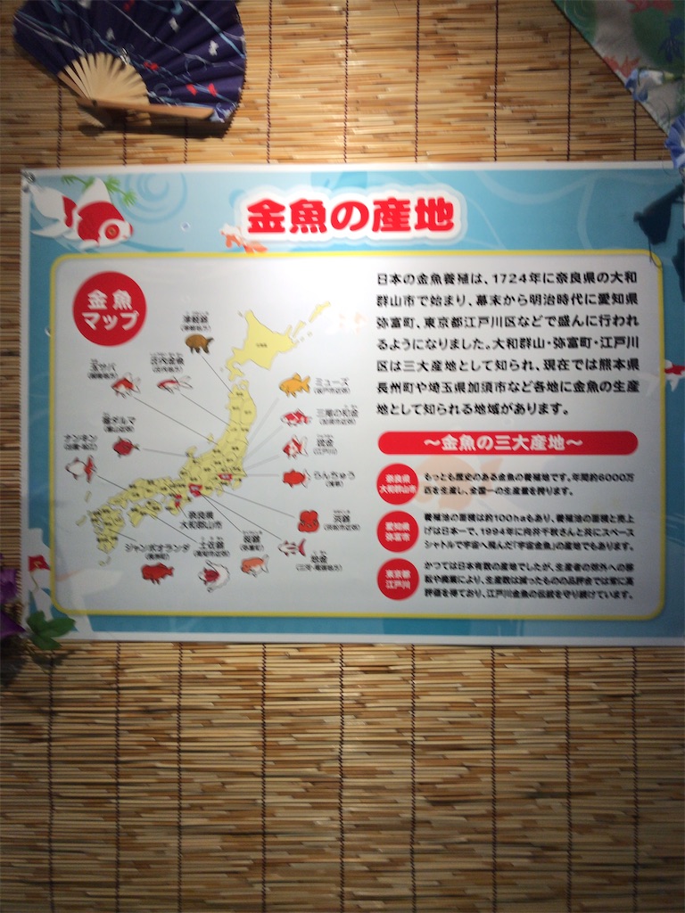 f:id:nagisaseer:20210901210624j:image