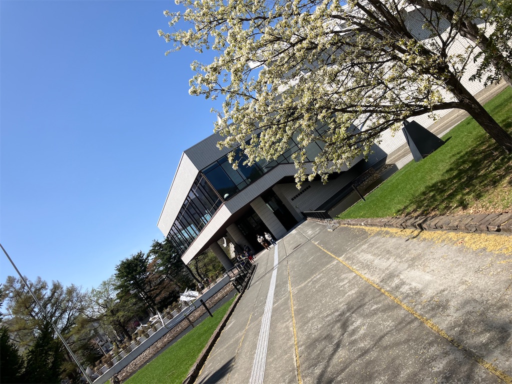 f:id:nagisaseer:20240429140328j:image