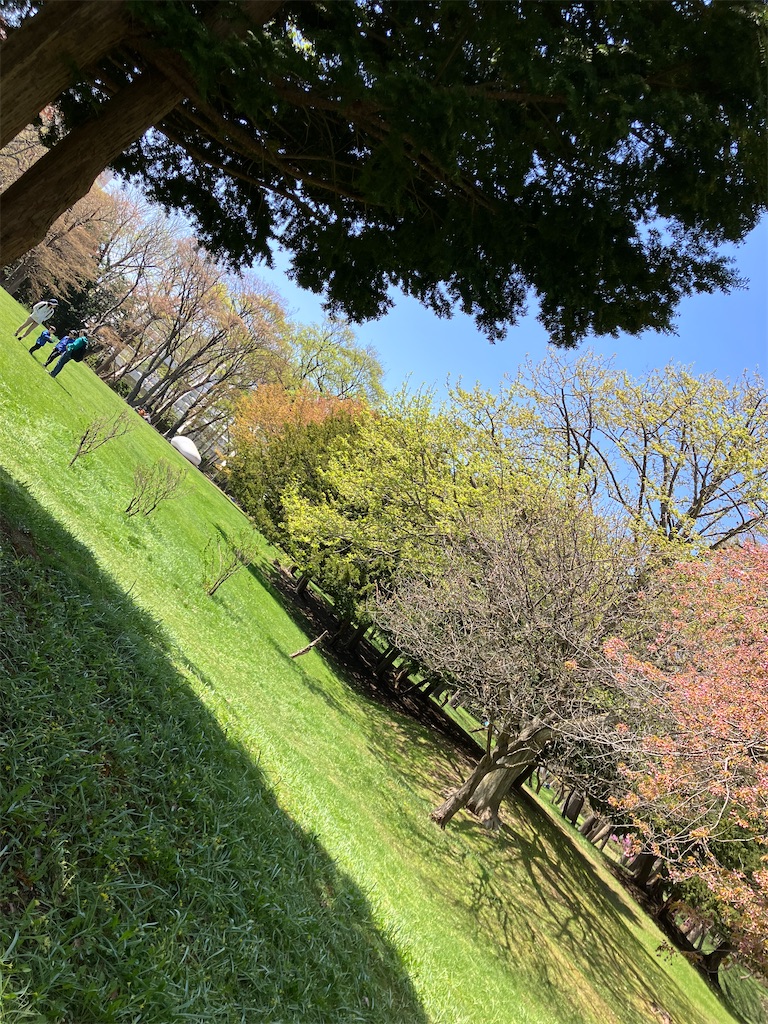 f:id:nagisaseer:20240429140334j:image