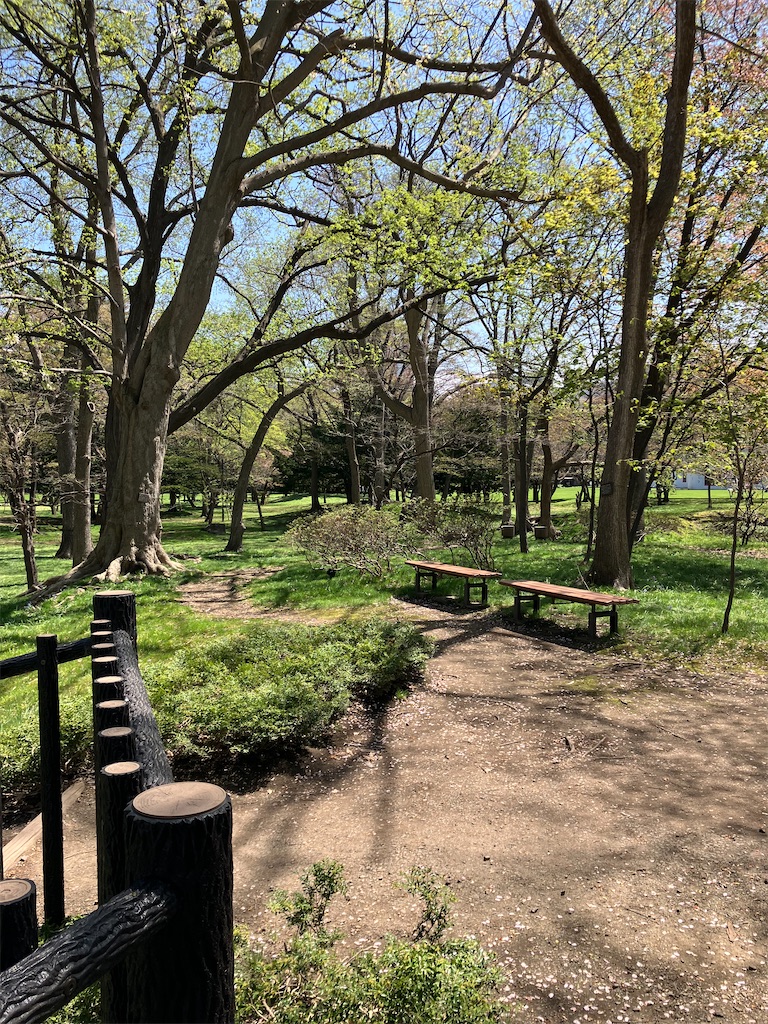 f:id:nagisaseer:20240429140337j:image