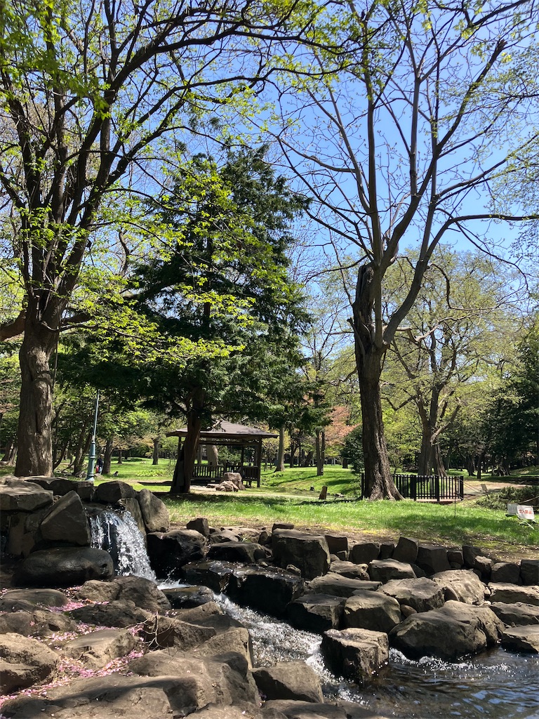 f:id:nagisaseer:20240429140354j:image