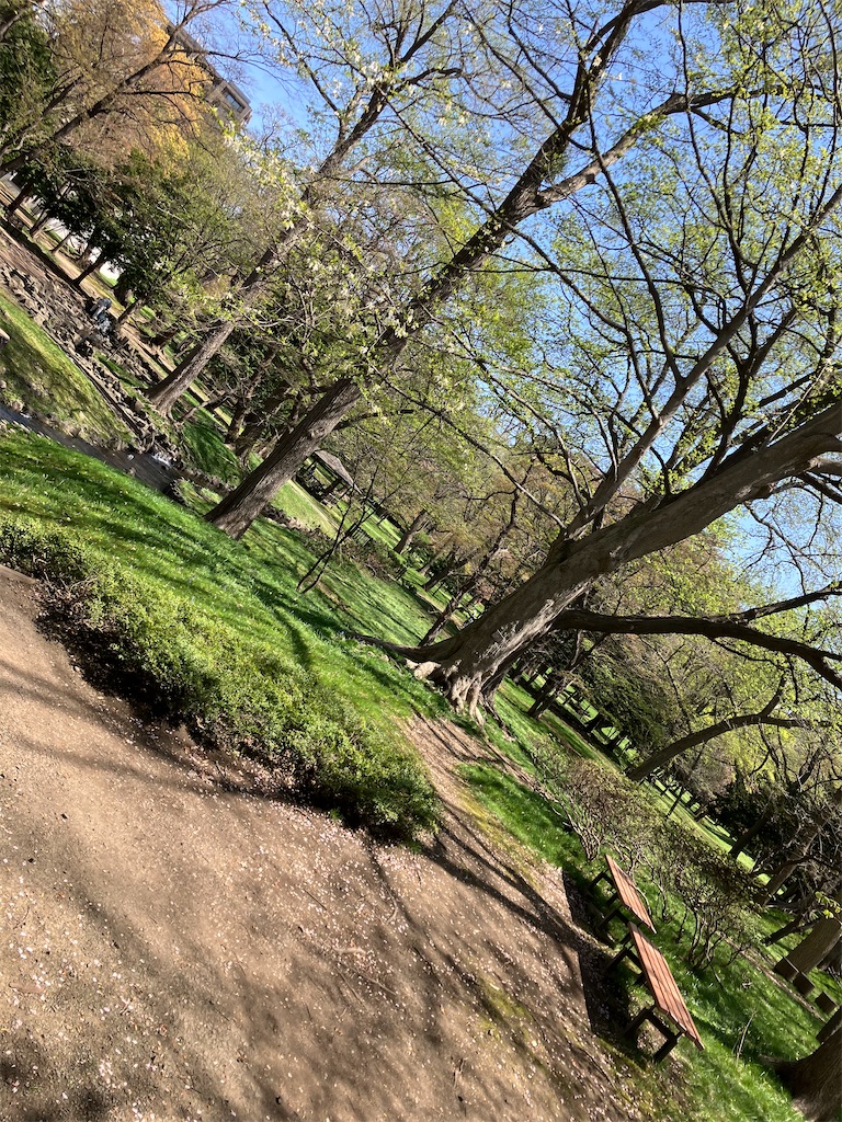 f:id:nagisaseer:20240429140400j:image