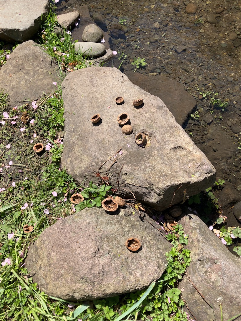 f:id:nagisaseer:20240429140430j:image