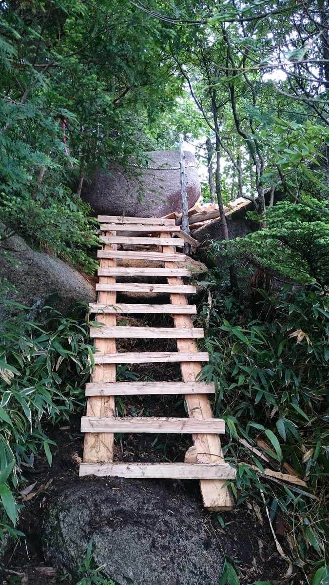 f:id:nagisodake:20190514233746j:plain f:id:nagisodake:20190514233746j:plain
