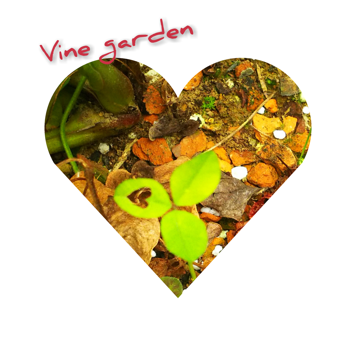 f:id:nagna:20201124182834j:plain