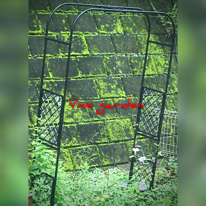 f:id:nagna:20201124185449j:plain