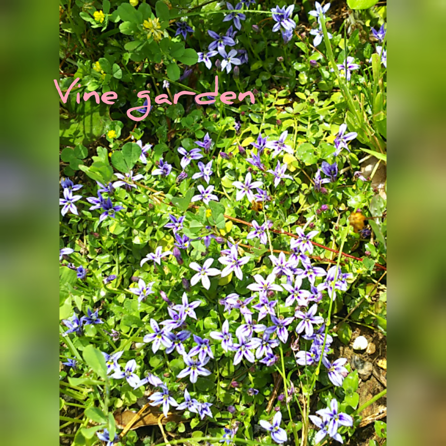 f:id:nagna:20201127010110j:plain