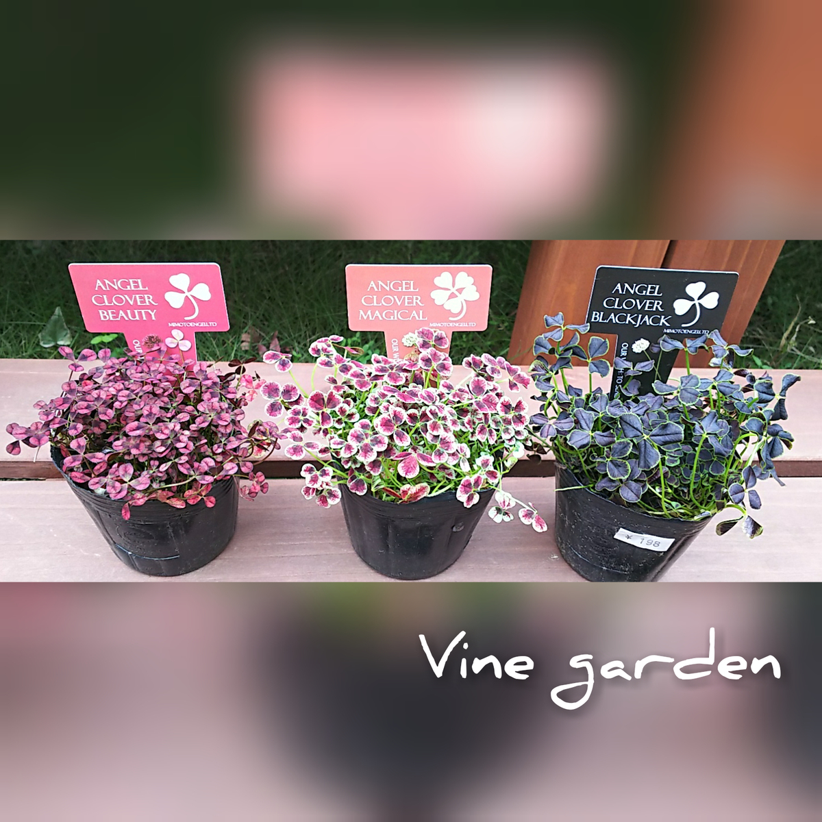 f:id:nagna:20201127010314j:plain