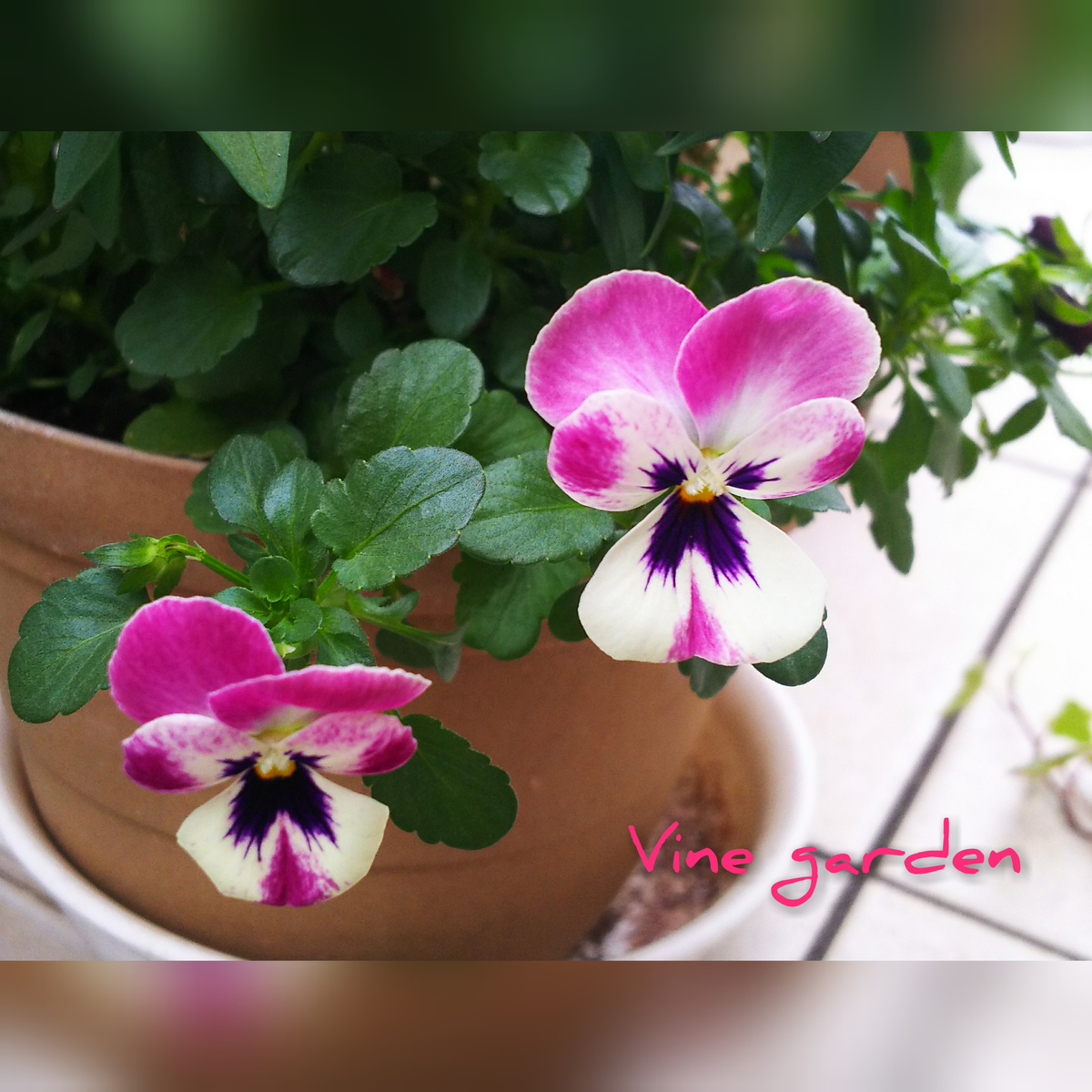 f:id:nagna:20201127010748j:plain