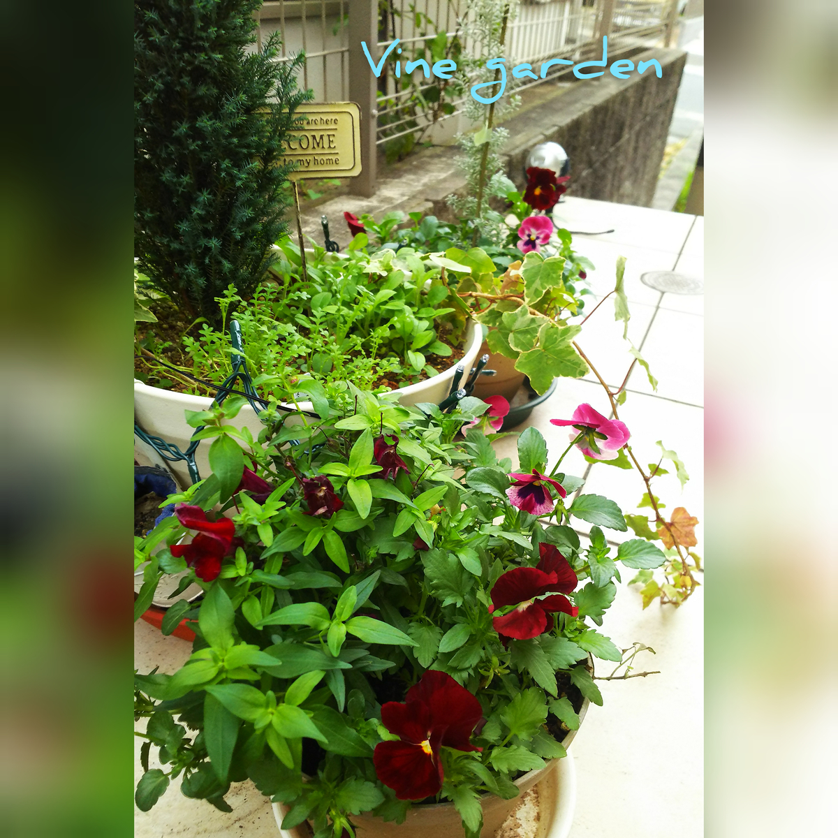 f:id:nagna:20201127010936j:plain