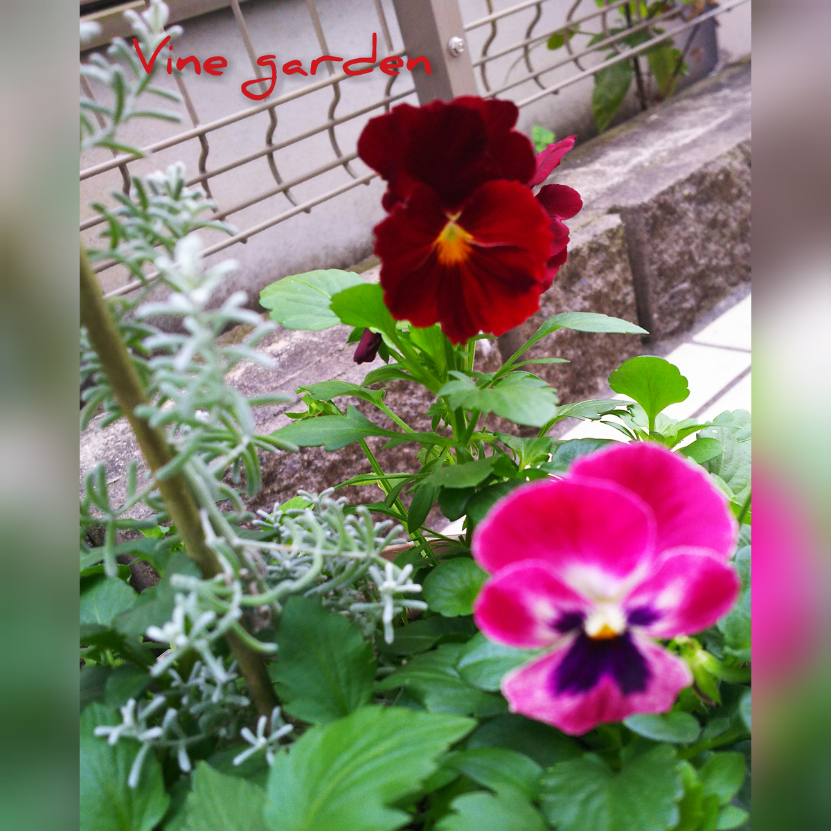 f:id:nagna:20201127011944j:plain