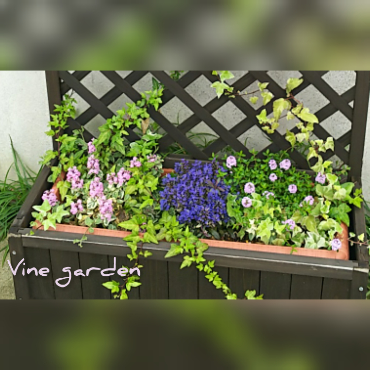 f:id:nagna:20201127014254j:plain