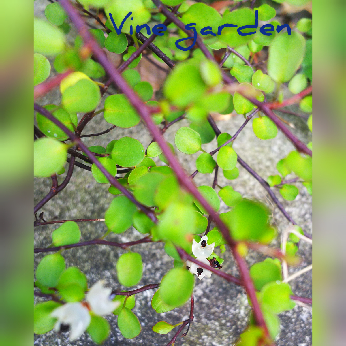 f:id:nagna:20201127014507j:plain