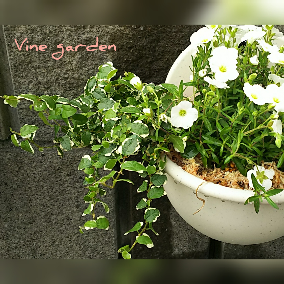 f:id:nagna:20201127014540j:plain