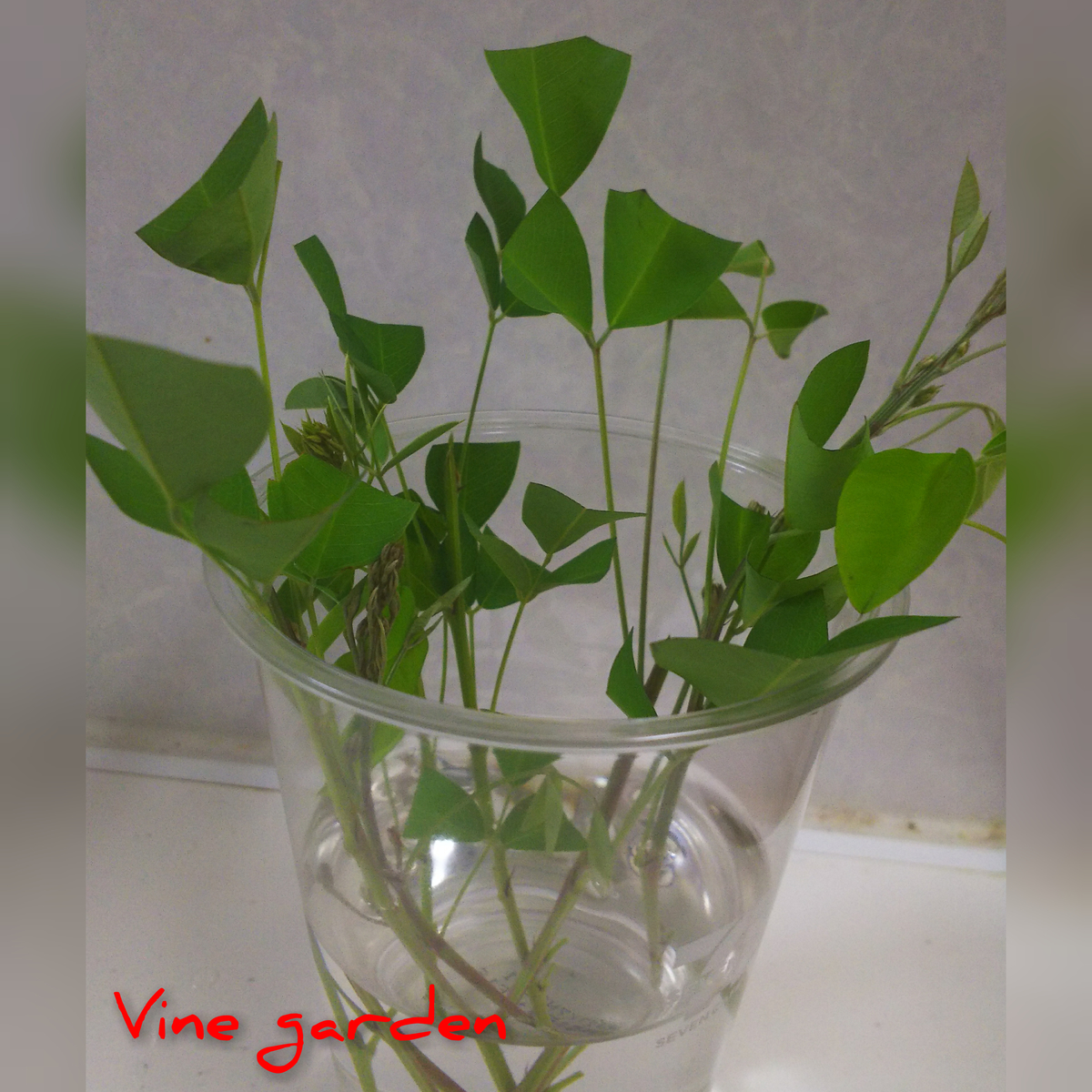 f:id:nagna:20201129224928j:plain