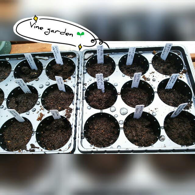 f:id:nagna:20201222003616j:image f:id:nagna:20201222003616j:image