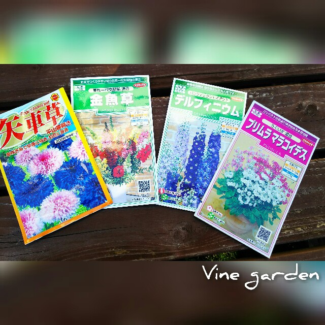 f:id:nagna:20201222003738j:image f:id:nagna:20201222003738j:image