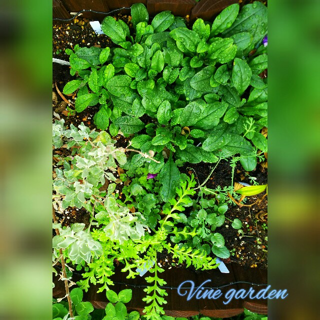 f:id:nagna:20201222003830j:image f:id:nagna:20201222003830j:image