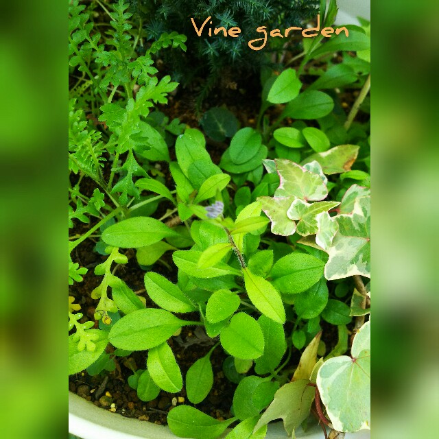 f:id:nagna:20201222003846j:image f:id:nagna:20201222003846j:image