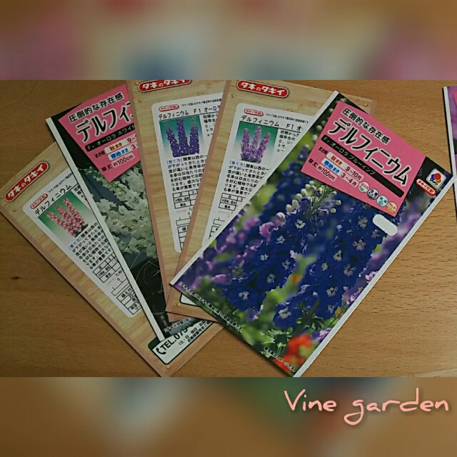 f:id:nagna:20201229000904j:image f:id:nagna:20201229000904j:image