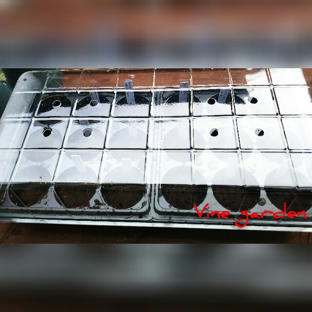 f:id:nagna:20201229000942j:image f:id:nagna:20201229000942j:image