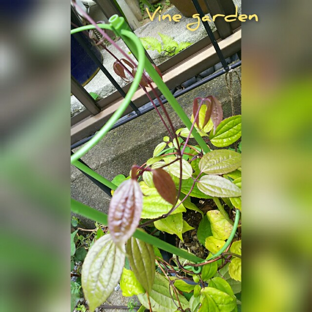 f:id:nagna:20201230143745j:image