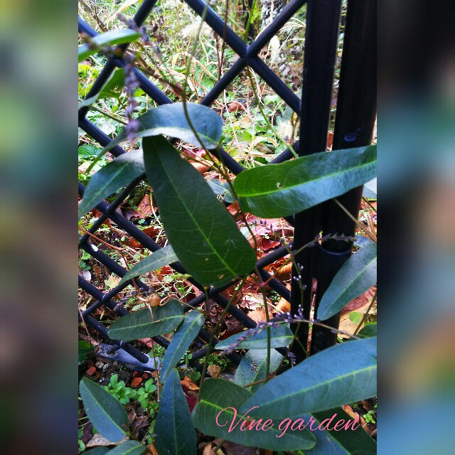 f:id:nagna:20210102171325j:image