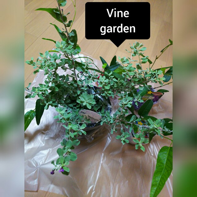 f:id:nagna:20210102172400j:image