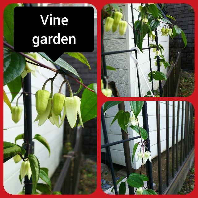 f:id:nagna:20210110163815j:image