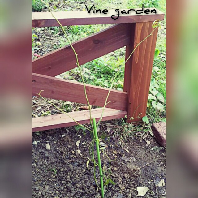 f:id:nagna:20210116223330j:image f:id:nagna:20210116223330j:image