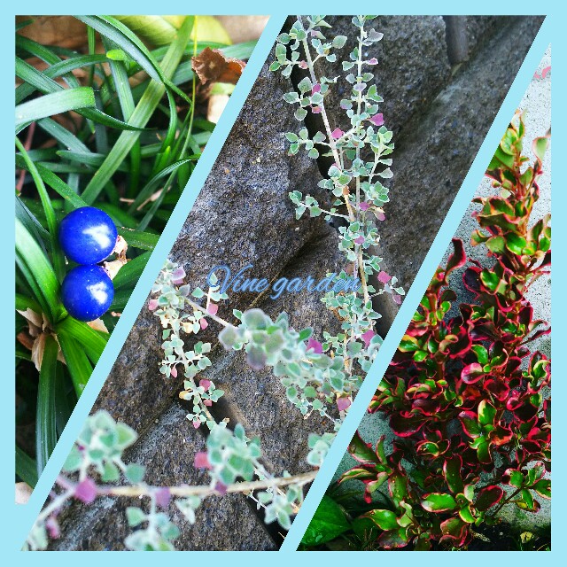 f:id:nagna:20210207233713j:image